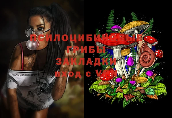 ГАЛЛЮЦИНОГЕННЫЕ ГРИБЫ Янаул